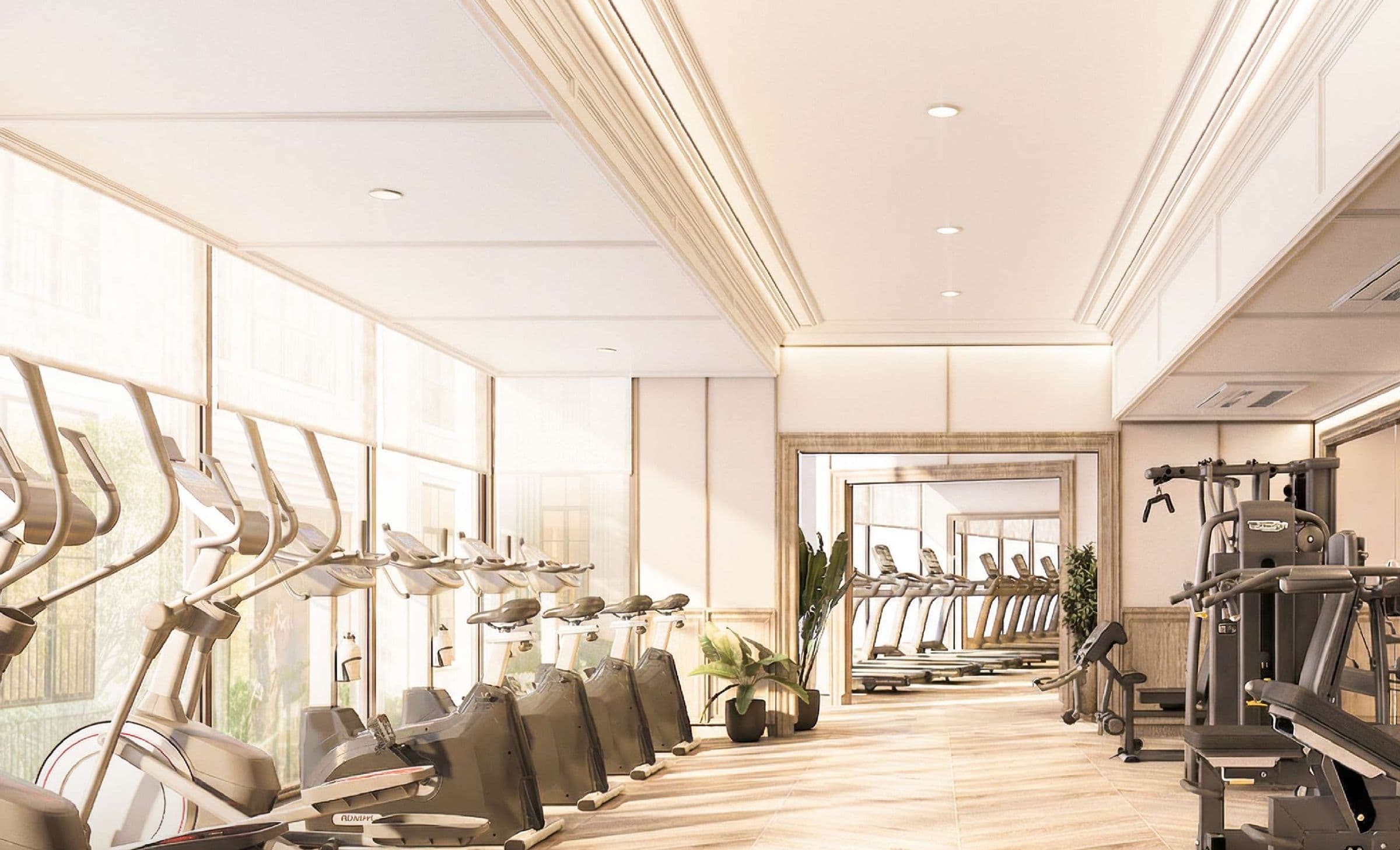 The Gym, weights area