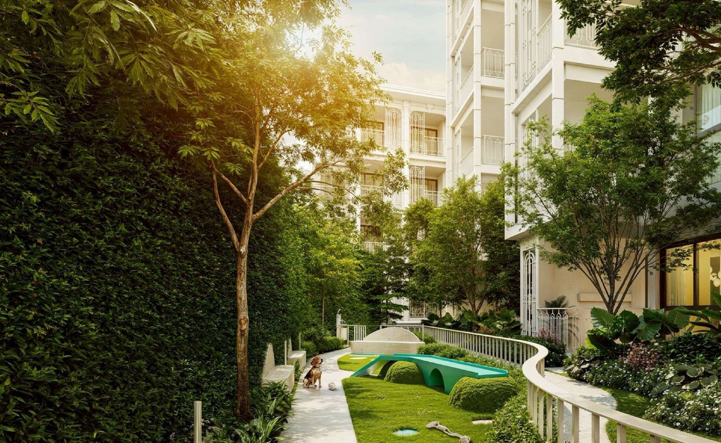 Pet's Playground garden path