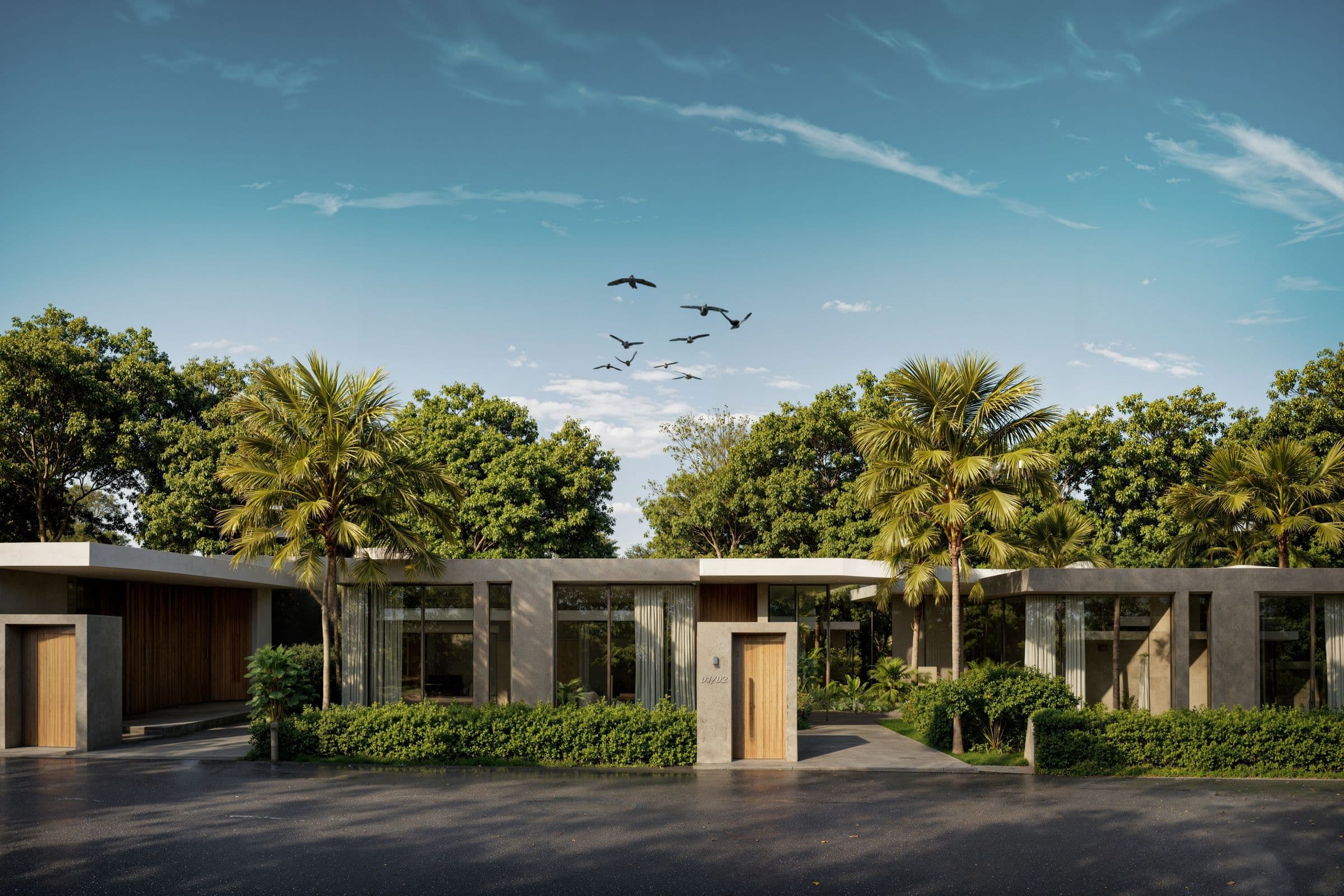 Row of villas behind palms