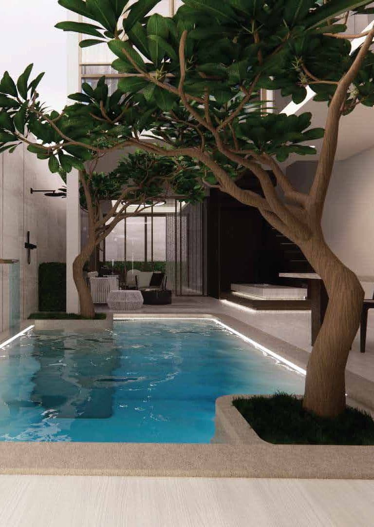 Courtyard pool and feature tree inside a Prime Villas home